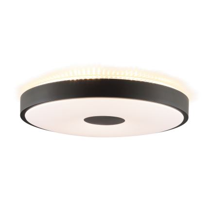 Brilliant - LED Deckenleuchte TAVIS LED/24W/230V Ø 44,5 cm schwarz