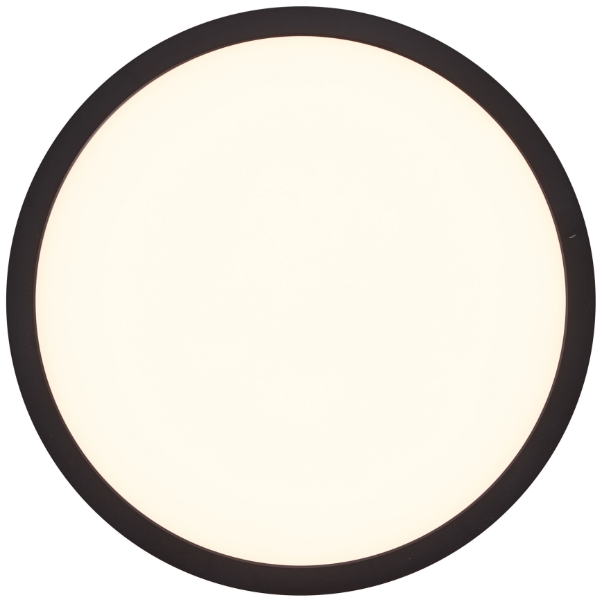 Brilliant - LED-Deckenleuchte TUCO LED/16W/230V Ø 25 cm schwarz