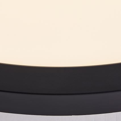 Brilliant - LED-Deckenleuchte TUCO LED/16W/230V Ø 25 cm schwarz