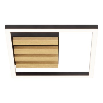 Brilliant - LED-dimmbare Deckenleuchte CALMA LED/15W/230V schwarz