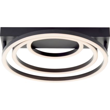 Brilliant - LED-dimmbare Deckenleuchte PEDLEY LED/36W/230V schwarz