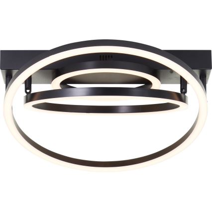 Brilliant - LED-dimmbare Deckenleuchte PEDLEY LED/36W/230V schwarz