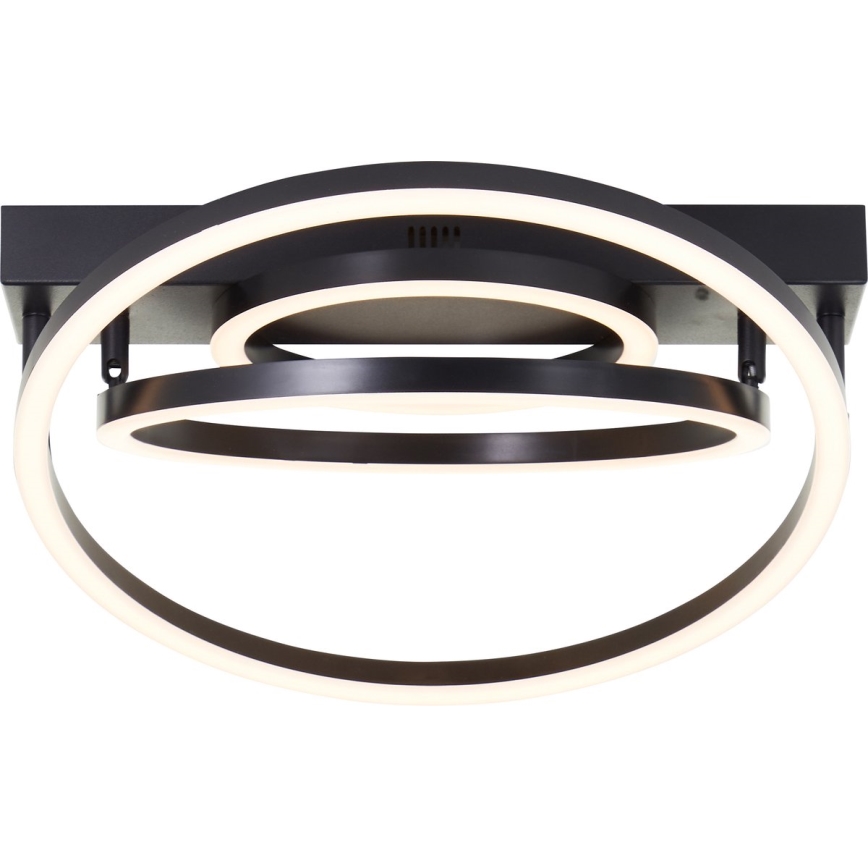 Brilliant - LED-dimmbare Deckenleuchte PEDLEY LED/36W/230V schwarz