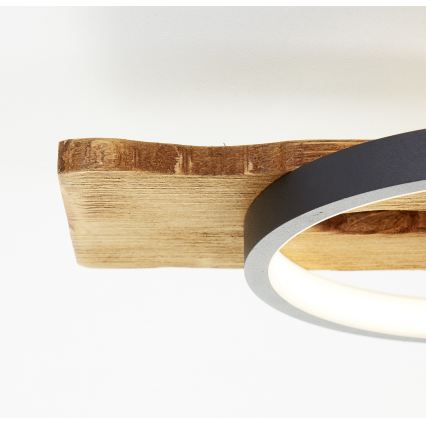 Brilliant - LED-dimmbare Deckenleuchte PIRUS LED/40W/230V 30x90 cm Gummibaumholz