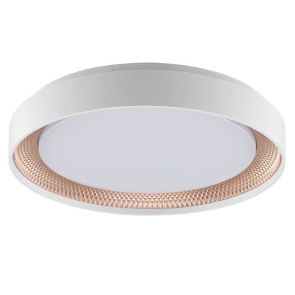 Brilliant - dimmbare LED-Deckenleuchte WALDO LED/24W/230V 3000-6500K Ø 38,5 cm weiß/roségold + Fernbedienung