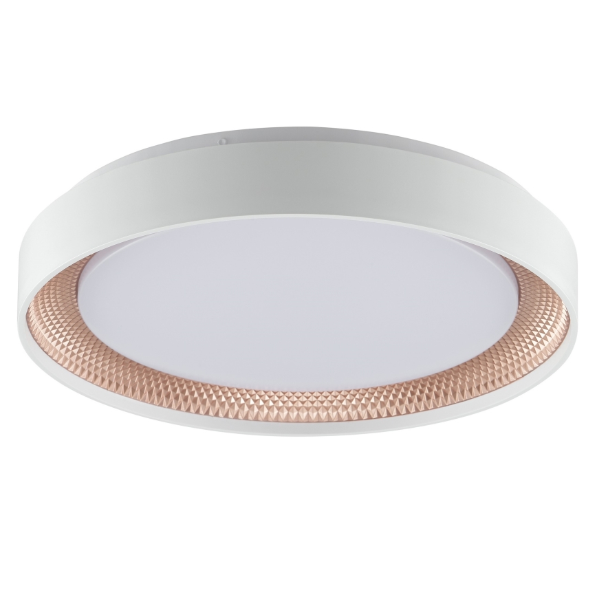 Brilliant - dimmbare LED-Deckenleuchte WALDO LED/24W/230V 3000-6500K Ø 38,5 cm weiß/roségold + Fernbedienung