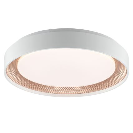 Brilliant - dimmbare LED-Deckenleuchte WALDO LED/24W/230V 3000-6500K Ø 38,5 cm weiß/roségold + Fernbedienung
