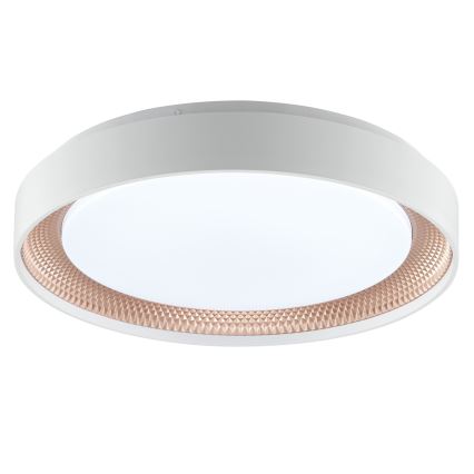 Brilliant - dimmbare LED-Deckenleuchte WALDO LED/24W/230V 3000-6500K Ø 38,5 cm weiß/roségold + Fernbedienung