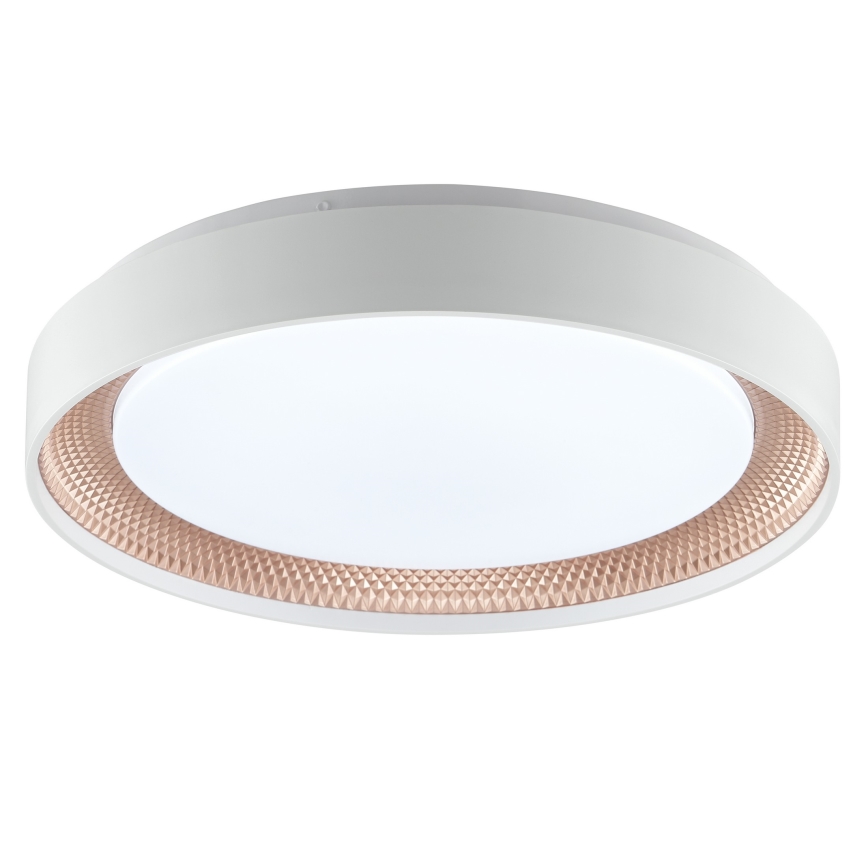 Brilliant - dimmbare LED-Deckenleuchte WALDO LED/24W/230V 3000-6500K Ø 38,5 cm weiß/roségold + Fernbedienung
