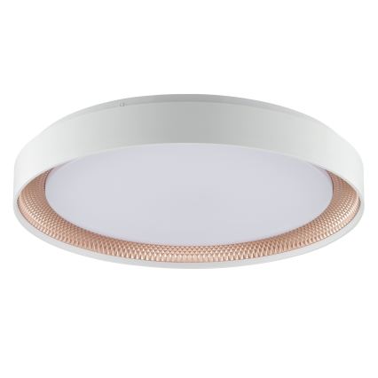 Brilliant - Dimmbare LED-Deckenleuchte WALDO LED/36W/230V 3000-6500K Ø 48,5 cm weiß/roségold + Fernbedienung
