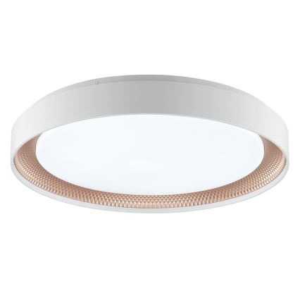 Brilliant - Dimmbare LED-Deckenleuchte WALDO LED/36W/230V 3000-6500K Ø 48,5 cm weiß/roségold + Fernbedienung