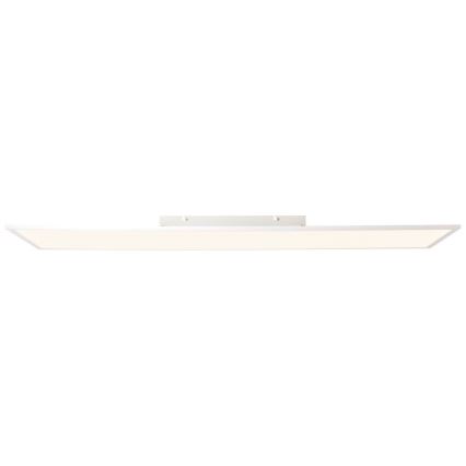 Brilliant - LED-Panel CHARLA LED/40W/230V 29,5x119,5 cm 2700K