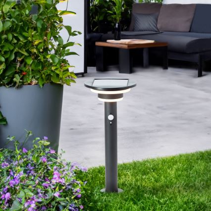 Brilliant - LED Solarleuchte mit Sensor GARVINA LED/3W/3,7V 2000 mAh 45 cm IP44 schwarz