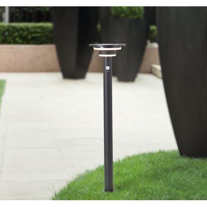 Brilliant - LED-Solarleuchte mit Sensor GARVINA LED/3W/3,7V 85 cm IP44 schwarz