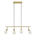 Brilliant - Pendelleuchte JORGE an Seil, 4xG9/10W/230V, Messing