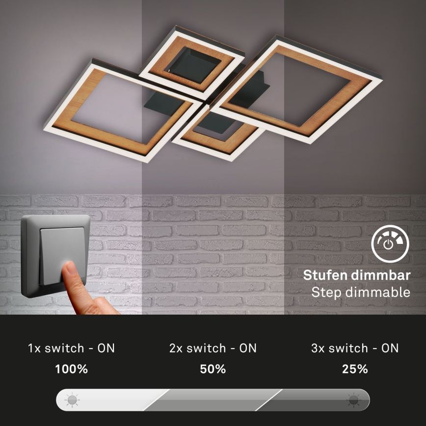 Brilo - LED dimmbare Deckenleuchte FRAME LED/38W/230V