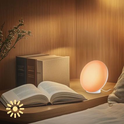 Brilo - dimmbare LED RGBIC-Tischlampe TARA LED/6W/230V 3000-6500K weiß + Fernbedienung