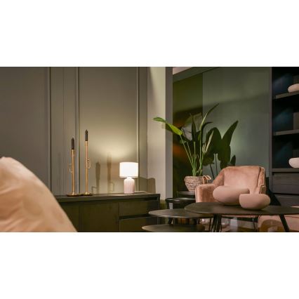 Brilo - Tischlampe INO 1xE14/10W/230V braun