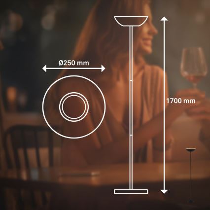 Briloner 1500015 - dimmbare LED-Stehlampe ESTATE LED/8W/5V 4000 mAh schwarz