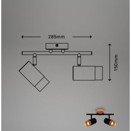 Briloner 2144025 - Strahler SPOT 2xGU10/9W/230V