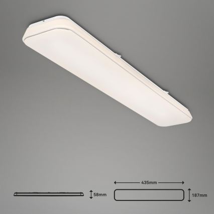 Briloner 3042-016 - Dimmbare LED-Deckenleuchte RUPA LED/48W/230V