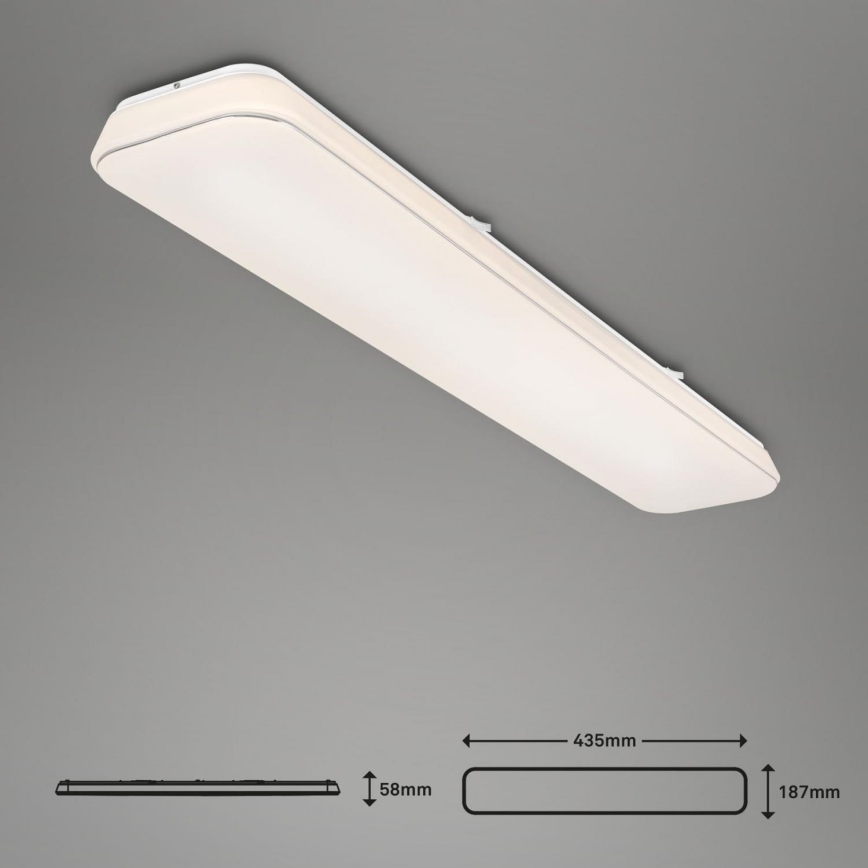 Briloner 3042-016 - Dimmbare LED-Deckenleuchte RUPA LED/48W/230V