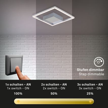 Briloner 3105-018 - LED Dimmbare Deckenleuchte FRAMES LED/9,7W/230V