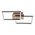 Briloner 3210-014 - Dimmbare LED-Deckenleuchte FRAME 2xLED/11W/230V braun