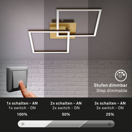 Briloner 3210-017 - LED dimmbare Deckenleuchte FRAME 2xLED/11W/230V in Gold