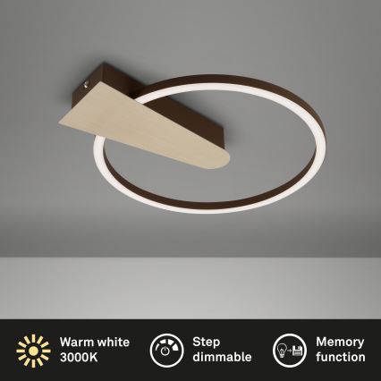 Briloner 3542017 - Dimmbare LED-Deckenleuchte NICO LED/12W/230V golden