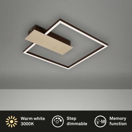 Briloner 3544-017 - Dimmbare LED-Deckenleuchte NICO LED/12W/230V golden