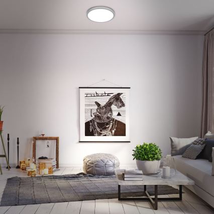 Briloner 3709-014 - Dimmbare LED-RGBW-Deckenleuchte LED/22W/230V 4000K d 38 cm silbern + Fernbedienung