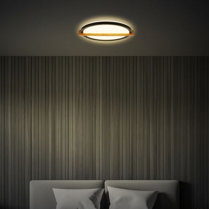 Briloner 3844015 - LED-Deckenleuchte LED/18W/230V Ø 31,5 cm