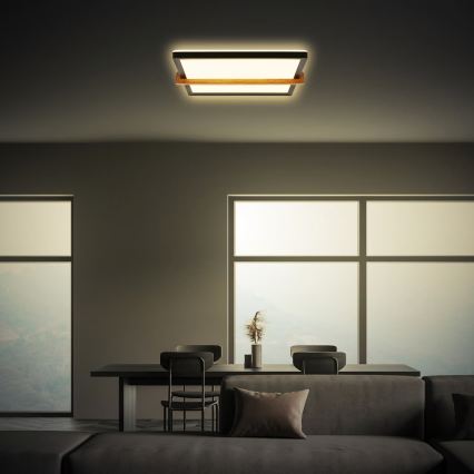 Briloner 3845015 - LED-Deckenleuchte LED/18W/230V 29,5x31,5 cm