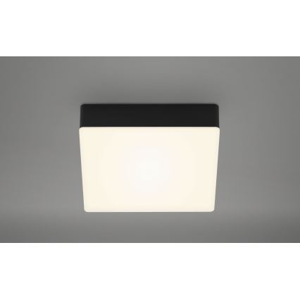 Briloner 7069-015 - LED-Deckenleuchte LED/11W/230V schwarz