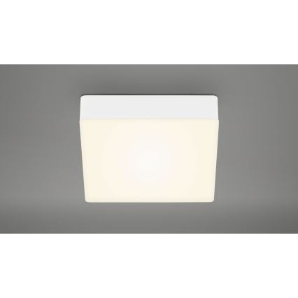 Briloner 7069-016 - LED-Deckenleuchte LED/11W/230V weiß
