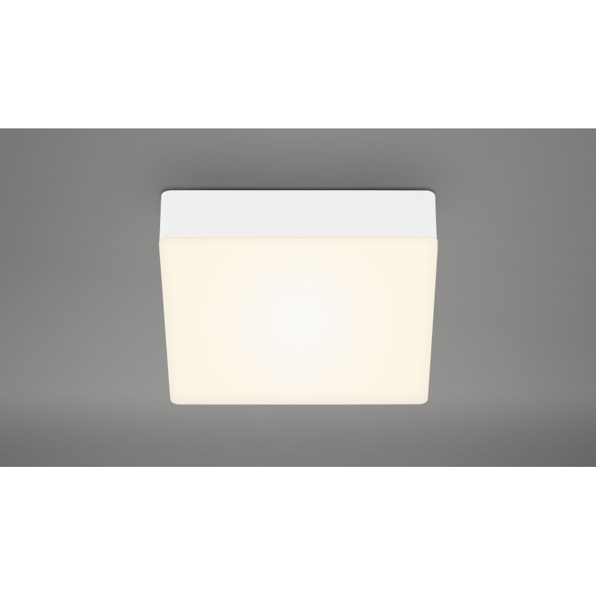 Briloner 7069-016 - LED-Deckenleuchte LED/11W/230V weiß