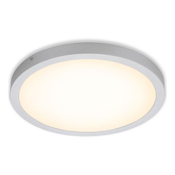 Briloner 7143-014 - LED-Deckenleuchte FIRE LED/24,5W/230V 3000K