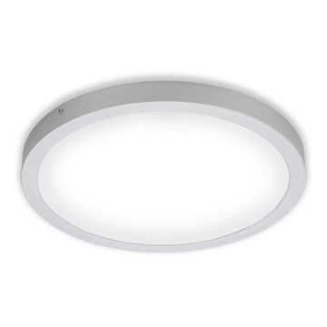 Briloner 7143-414 - LED-Deckenleuchte FIRE LED/24,5W/230V 4000K