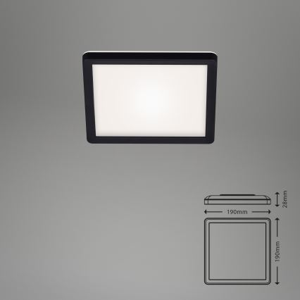 Briloner 7153-415 - LED Deckenleuchte SLIM LED/12W/230V 19x19 cm