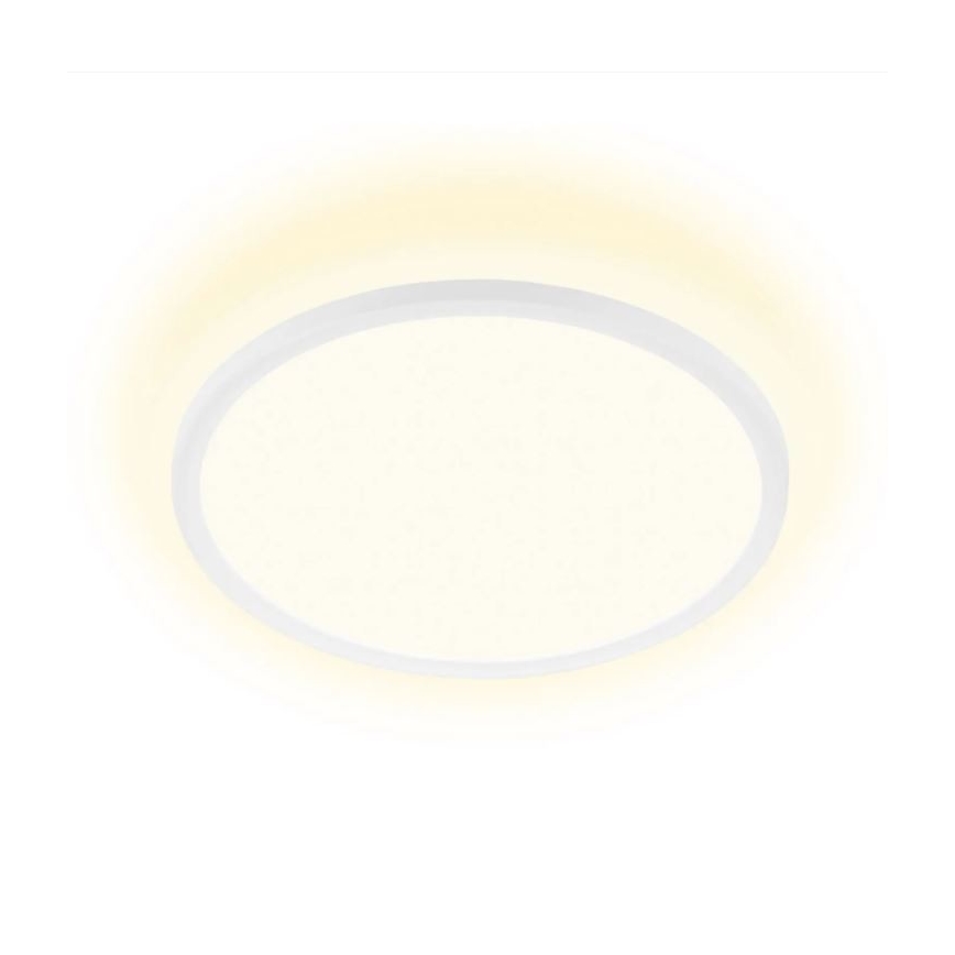 Briloner 7155-416 - LED-Deckenleuchte SLIM LED/18W/230V