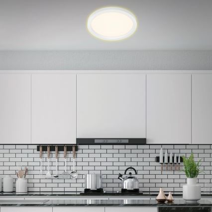 Briloner 7361-016 - LED Deckenleuchte CADRE LED/18W/230V d. 29,7 cm weiß