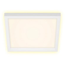 Briloner 7362-016 - LED Deckenleuchte CADRE LED/18W/230V 29,6x29,6 cm weiß
