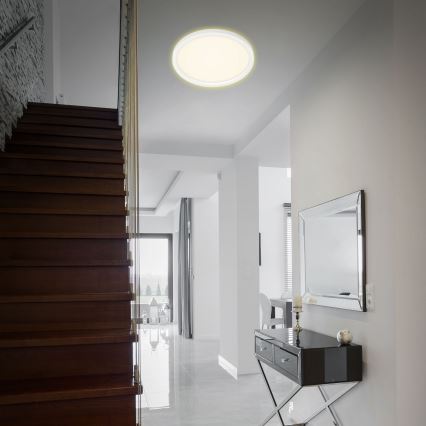 Briloner 7363-016 - LED Deckenleuchte CADRE LED/22W/230V d. 42,5 cm weiß