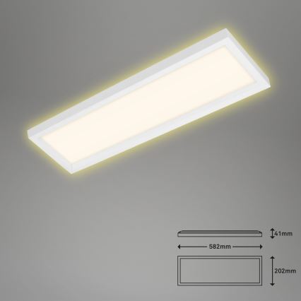 Briloner 7365-016 - LED Deckenleuchte CADRE LED/22W/230V 58,2x20,2 cm weiß