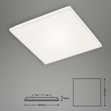 Briloner 7376-116 - LED-Deckenleuchte FRAMELESS LED/24W/230V
