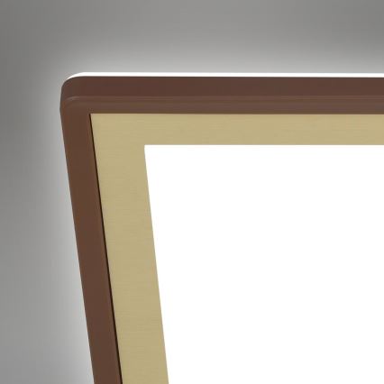 Briloner 7459-417 - LED dimmbares Deckenleuchte DECO LED/24W/230V 2700-6500K + Fernbedienung