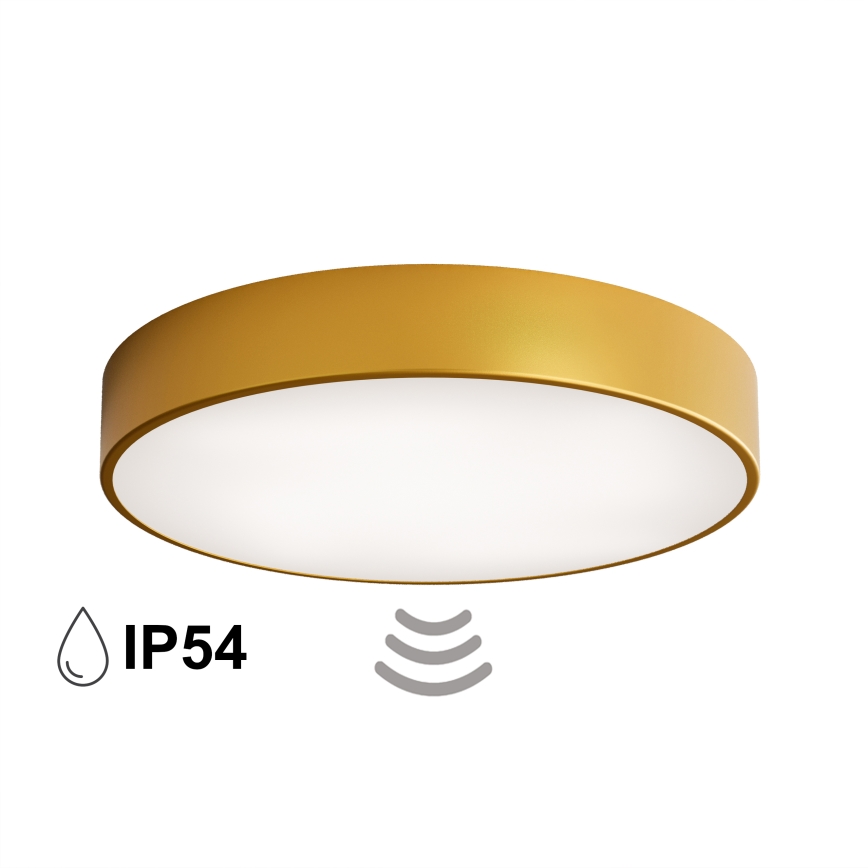 CLEO Badezimmer-Deckenleuchte mit Sensor, 4×E27 / 24W / 230V, Ø 50 cm, IP54, gold