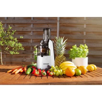 Concept LO7065 - 3-in-1 Schneckenentsafter 240W/230V grau