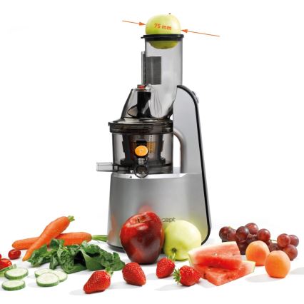 Concept LO7065 - 3-in-1 Schneckenentsafter 240W/230V grau